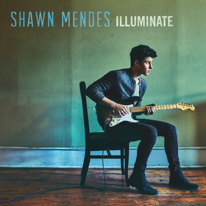 Download Lagu Shawn Mendes - Roses MP3