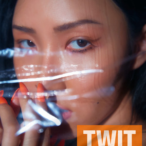 Download Lagu Hwa Sa - TWIT MP3