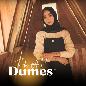 Download Lagu Fida AP - Dumes MP3