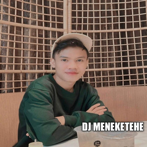 Download Lagu Dj ASIK - DJ MENEKETEHE KALAU KAMU SUKA INS MP3