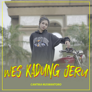 Download Lagu cantika nuswantoro - WES KADUNG JERU MP3 Download Lagu cantika nuswantoro - WES KADUNG JERU MP3