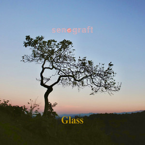 Download Lagu Senograft - Glass MP3 Download Lagu Senograft - Glass MP3