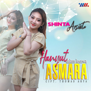 Download Lagu Shinta Arsinta - Hanyut Dalam Kecewa Asmara MP3