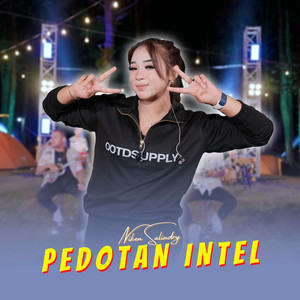 Download Lagu Niken Salindry - Pedotan Intel MP3 Download Lagu Niken Salindry - Pedotan Intel MP3