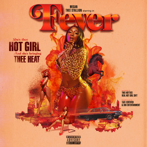 Download Lagu Megan Thee Stallion, DaBaby - Cash Shit (feat. DaBaby) MP3