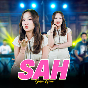 Download Lagu Diva Hani - Sah MP3