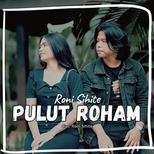 Download Lagu Roni Sihite - Pulut Roham MP3