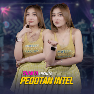 Download Lagu Shinta Arsinta - Pedotan Intel MP3 Download Lagu Shinta Arsinta - Pedotan Intel MP3