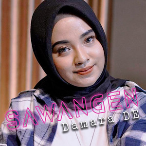 Download Lagu Damara De - Sawangen MP3