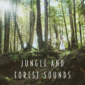 Download Lagu The Sleep Specialist - Calming Forest Sound MP3 Download Lagu The Sleep Specialist - Calming Forest Sound MP3