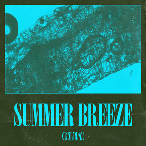 Download Lagu Coldiac - Summer Breeze MP3