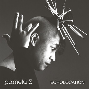 Download Lagu Pamela Z - Scaff Scivi Gno MP3