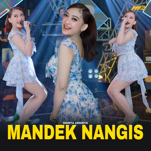 Download Lagu Shinta Arsinta - Mandek Nangis MP3