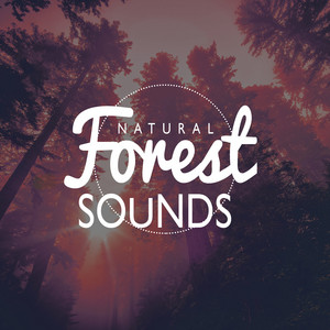 Download Lagu Outside Broadcast Recordings - Serenity Stream MP3 Download Lagu Outside Broadcast Recordings - Serenity Stream MP3