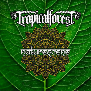 Download Lagu Tropical Forest, Emilio Gangstarasta - Feel da Riddim MP3 Download Lagu Tropical Forest, Emilio Gangstarasta - Feel da Riddim MP3