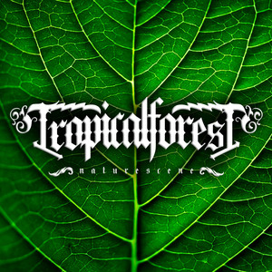 Download Lagu Tropical Forest - Unity MP3 Download Lagu Tropical Forest - Unity MP3
