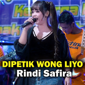 Download Lagu Rindi Safira - Dipetik Wong Liyo MP3