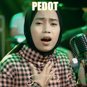 Download Lagu SUCI TACIK - PEDOT MP3 Download Lagu SUCI TACIK - PEDOT MP3