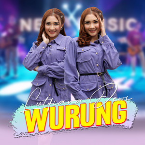 Download Lagu Lutfiana Dewi - Wurung MP3