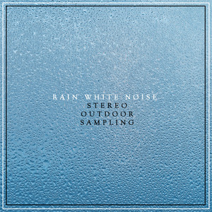 Download Lagu Stereo Outdoor Sampling - Quiet Rain in River MP3 Download Lagu Stereo Outdoor Sampling - Quiet Rain in River MP3