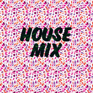 Download Lagu Endang Wijayanti - Putri Panggung (House Mix) MP3