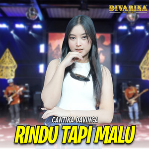 Download Lagu DIVARINA MUSIC, Cantika Davinca - Rindu Tapi Malu MP3 Download Lagu DIVARINA MUSIC, Cantika Davinca - Rindu Tapi Malu MP3
