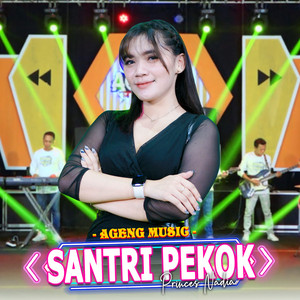Download Lagu Princes Nadia, Ageng Music - Santri Pekok MP3 Download Lagu Princes Nadia, Ageng Music - Santri Pekok MP3