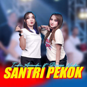 Download Lagu Indri Ananda, Princes Nadia - Santri Pekok MP3