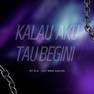 Download Lagu DJ Ela, Cut Rani - Kalau Aku Tau Begini MP3