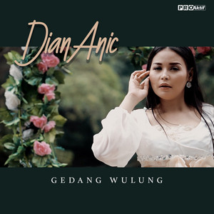Download Lagu Dian Anic - Gedang Wulung MP3 Download Lagu Dian Anic - Gedang Wulung MP3