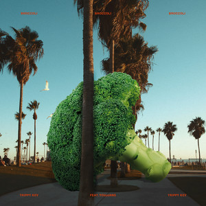 Download Lagu Trippy Kev, Youjjang - Broccoli (feat. Youjjang) MP3 Download Lagu Trippy Kev, Youjjang - Broccoli (feat. Youjjang) MP3