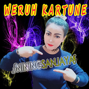 Download Lagu Nining Sanjaya - Weruh Kartune MP3