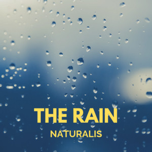 Download Lagu Naturalis - Distant Thunder in the East of the City MP3 Download Lagu Naturalis - Distant Thunder in the East of the City MP3