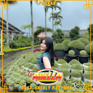 Download Lagu OM Adella, Sherly Madyana - Pasrah MP3 Download Lagu OM Adella, Sherly Madyana - Pasrah MP3