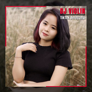 Download Lagu DJ Violin - Tiktok Bernyanyi MP3