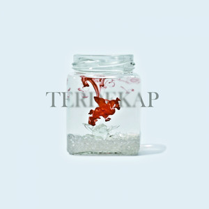 Download Lagu Vhal Rasyid - Terdekap MP3