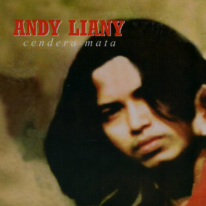 Download Lagu Andy Liany - Jumpa Ceria MP3
