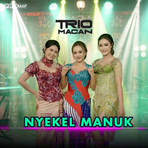 Download Lagu Trio Macan - Nyekel Manuk MP3 Download Lagu Trio Macan - Nyekel Manuk MP3