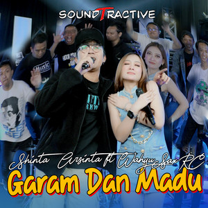 Download Lagu Shinta Arsinta, Wahyu Sax Rc - Garam Dan Madu MP3