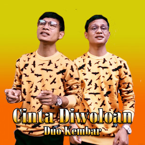 Download Lagu Duo Kembar - Cinta Diwoloan MP3