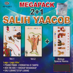 Download Lagu Salih Yaacob - Gali Lubang Tutup Lubang MP3 Download Lagu Salih Yaacob - Gali Lubang Tutup Lubang MP3
