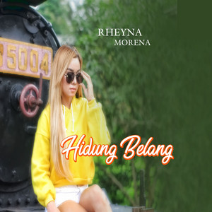 Download Lagu Rheyna Morena - Hidung Belang MP3