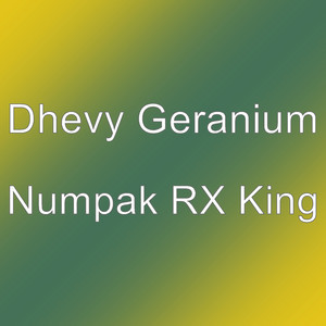 Download Lagu Dhevy Geranium - Numpak RX King MP3