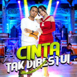 Download Lagu Difarina Indra Adella, Fendik Adella - Cinta Tak Direstui MP3