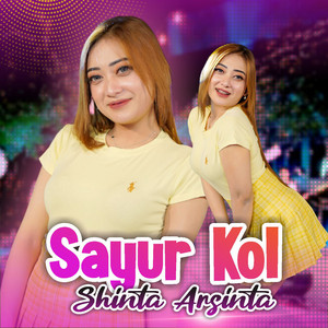 Download Lagu Shinta Arsinta - Sayur Kol MP3 Download Lagu Shinta Arsinta - Sayur Kol MP3