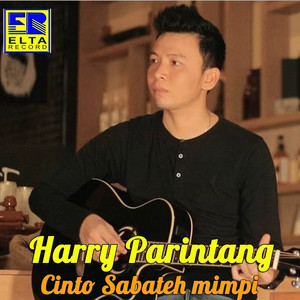 Download Lagu Harry Parintang - Pandang Partamo MP3 Download Lagu Harry Parintang - Pandang Partamo MP3