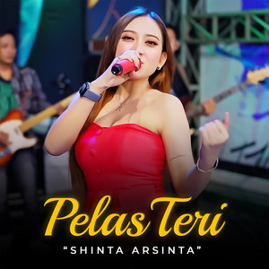 Download Lagu Shinta Arsinta - Pelas Teri MP3