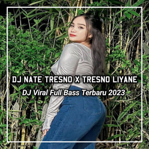 Download Lagu DJ MANIKCI REMIX - DJ NATE TRESNO X TRESNO LIYANE VIRAL TIKTOK MP3