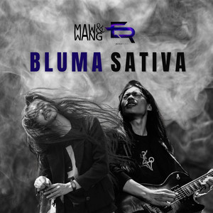Download Lagu Mawang, Ezzarush - Bluma Sativa MP3 Download Lagu Mawang, Ezzarush - Bluma Sativa MP3