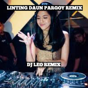Download Lagu Dj leo remix - Linting daun pargoy - Remix MP3